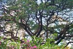 pic_08374.jpg