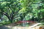 pic_08376.jpg
