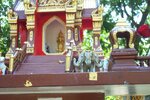 pic_08381.jpg