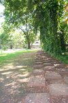 pic_08382.jpg