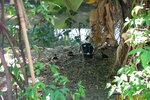 pic_08384.jpg