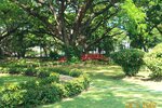 pic_08392.jpg