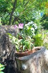 pic_08394.jpg