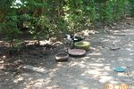 pic_08395.jpg