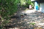 pic_08396.jpg