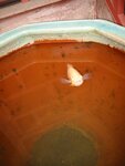 pic_08408.jpg