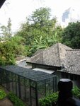pic_08423.jpg