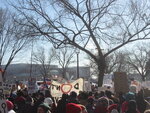 pic_01473.jpg