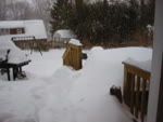 mov_snow.mov