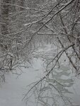 pic_01509.jpg