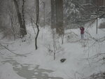 pic_01510.jpg
