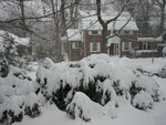 pic_01519.jpg