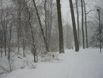 pic_01523.jpg