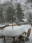 pic_01525.jpg