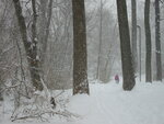 pic_01527.jpg