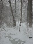 pic_01532.jpg