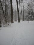 pic_01533.jpg