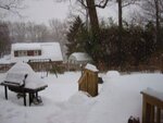 pic_01536.jpg