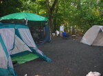 pic_01584.jpg