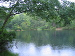 pic_01594.jpg