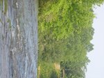 pic_01611.jpg
