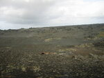 pic_01639.jpg