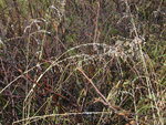 pic_01665.jpg
