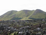 pic_01666.jpg