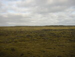 pic_01681.jpg