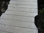 pic_01686.jpg