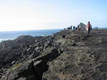 pic_01693.jpg