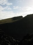 pic_01706.jpg