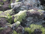 pic_01709.jpg