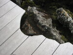 pic_01727.jpg