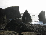 pic_01746.jpg