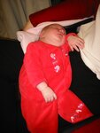 pic_01810.jpg