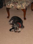 pic_01838.jpg