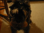 pic_01898.jpg