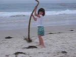 pic_01899.jpg