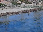 pic_01905.jpg