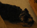 pic_01919.jpg
