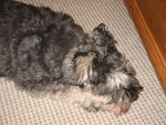 pic_01922.jpg