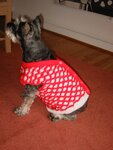 pic_01925.jpg
