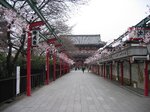 pic_08436.jpg
