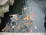 pic_08443.jpg