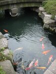 pic_08447.jpg