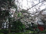 pic_08448.jpg