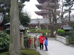 pic_08455.jpg