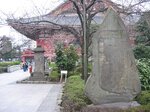 pic_08460.jpg