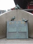 pic_08466.jpg